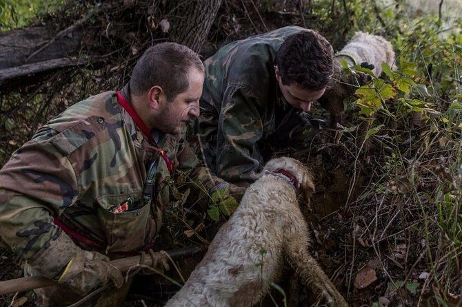 Truffle hunting - Who Should Book This Tour?