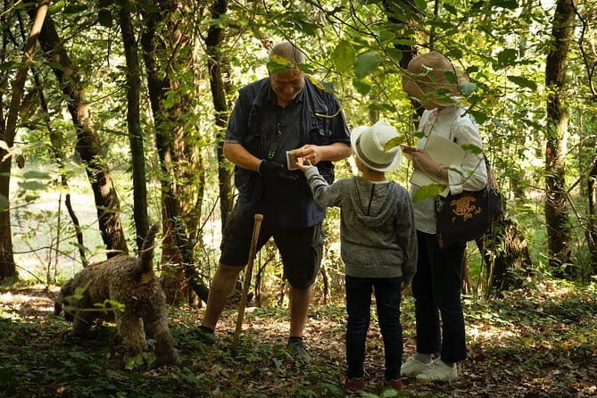 Truffle Picking Experience with 3 Course Meal in Chianti hills - A Deep Dive into the Truffle Hunting Experience
