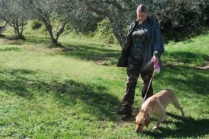 TRUFFLES: Hunting & Tasting in Istria, Slovenia - The Sum Up