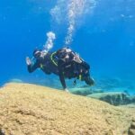 Try Dive - Scuba Diving with a private guide, incl. photos - The Experience in Detail: What to Expect at Green Bay