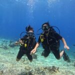 Try diving without previous experience from shore - Authentic Experiences and Real User Feedback