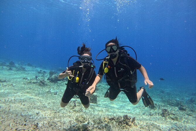 Try diving without previous experience from shore - Authentic Experiences and Real User Feedback