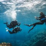 Try Scuba Diving from Boat in Budva - Budva Diving Center - Who Should Consider This Experience