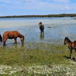 Tuili: Wild Giara Tour - Key Points
