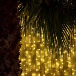 Tuk Tuk Funchal Magic Christmas Lights - Exploring the Tour in Detail