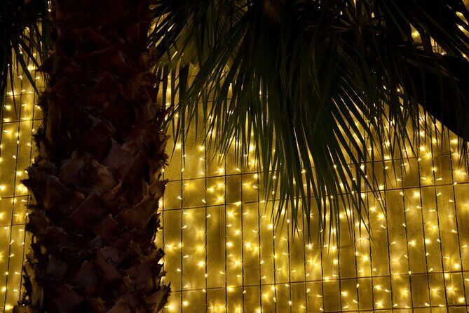 Tuk Tuk Funchal Magic Christmas Lights - Exploring the Tour in Detail