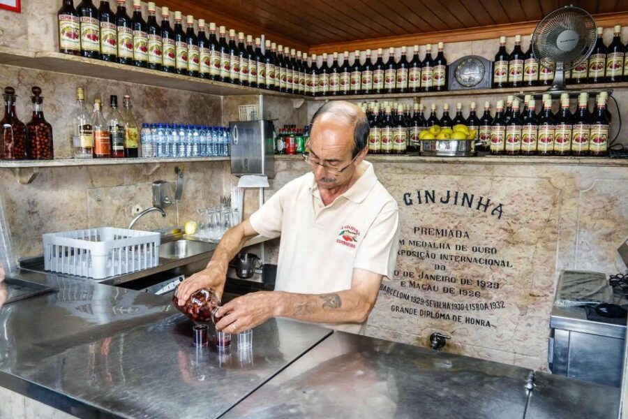Tuk Tuk Half Day Tour in Lisbon with food and drinks - Who Will Love This Tour?