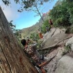 Tuk Tuk Private Tour in Sintra and Beaches - Who Will Love This Tour?
