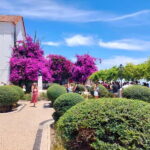 Tuk-Tuk sightseeing in lisbon(Old town) - Final Thoughts: The Value and Experience