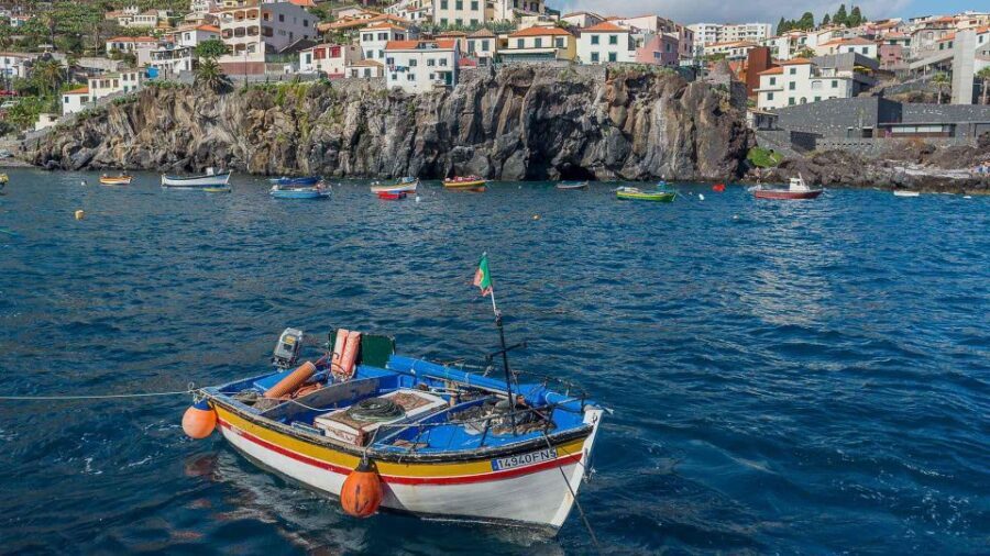Tuk Tuk Wine Tour - Madeira Island - A Deep Dive into the Madeira Tuk Tuk Wine Tour