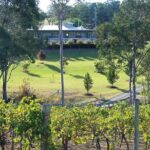 Tulloch Wines - Wine Tasting paired with Local Handmade Chocolates - FAQ: Practical Questions about Tulloch’s Wine & Chocolate Tasting