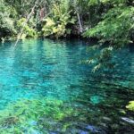 Tulum & Coba Private Tour - Analyzing the Experience and Value