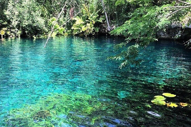 Tulum & Coba Private Tour - Analyzing the Experience and Value