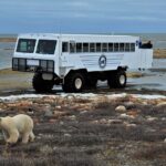 Tundra Buggy Autumn Day Tours - An In-Depth Look at Tundra Buggy Autumn Day Tours