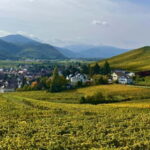 Turckheim: the town where the dragon sleeps, walking tour - The wartime chapter at the Museum of the Battles of the Colmar Pocket