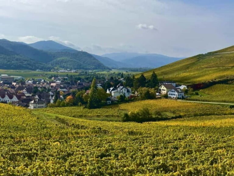 Turckheim: the town where the dragon sleeps, walking tour - The wartime chapter at the Museum of the Battles of the Colmar Pocket