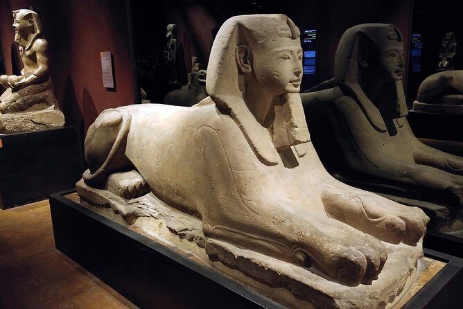 Turin: Egyptian Museum 2-hour monolingual guided experience - The Experience: When and How
