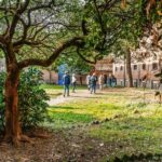 Turin: Underground Tunnels Guided Tour - Practical Details and Value