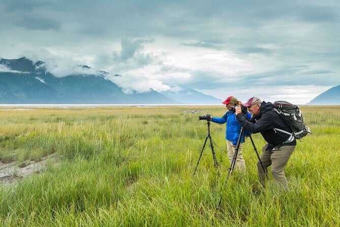 Turnagain Arm Highlights Photo Tour - Wildlife and Seasonal Considerations