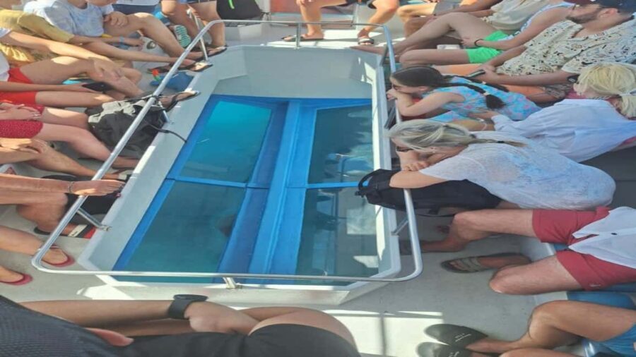 Turtle Cruise from 9 am or 12 noon or 3 pm for 3 hours - Who Should Consider This Tour?
