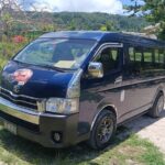Turtle Encounter with Yumi Tours - The Marine Highlights