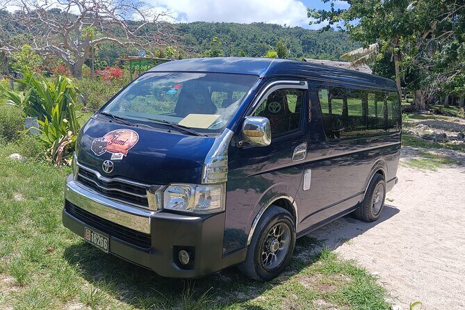 Turtle Encounter with Yumi Tours - The Marine Highlights