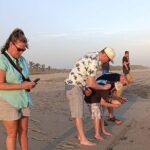 Turtle Release at Escobilla Beach - The Experience in Detail