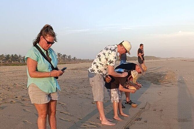 Turtle Release at Escobilla Beach - The Experience in Detail
