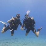 Turtle & Shark Scuba Dive in Lahaina: Certified - Final Thoughts