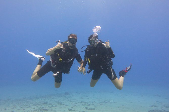 Turtle & Shark Scuba Dive in Lahaina: Certified - Final Thoughts