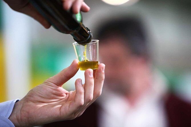 Tuscan ExtraVirgin Olive Oil Tour - Key Points: