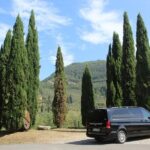 Tuscan Wine Tour in Pisa by van - Who Will Love This Tour?