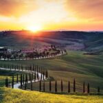 Tuscany Countryside including Wine Tasting & Lunch - Private Day Trip from Rome - Why This Tour Works for You