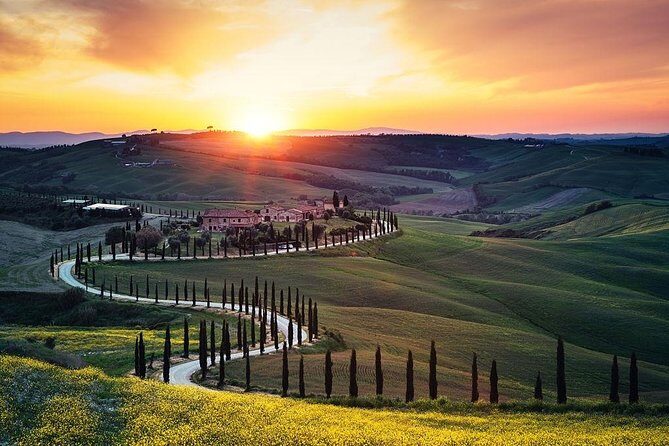 Tuscany Countryside including Wine Tasting & Lunch - Private Day Trip from Rome - Why This Tour Works for You