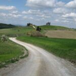 Tuscany Hiking Tour from Siena Including Wine Tasting - Who Should Consider This Tour?