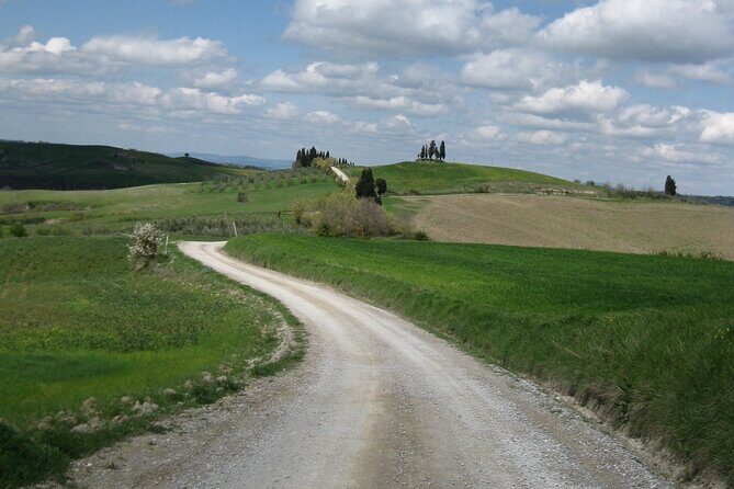 Tuscany Hiking Tour from Siena Including Wine Tasting - Who Should Consider This Tour?