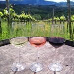 Tuscany: Immersive Winery + tasting (4 wines) - Who Will Love This Tour?