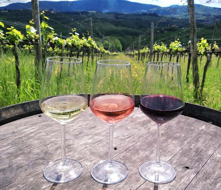 Tuscany: Immersive Winery + tasting (4 wines) - Who Will Love This Tour?