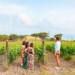 Tuscany: Ripalte Design Winery Wine and Cheese Tasting Tour - An In-Depth Look at the Ripalte Design Winery Tasting Tour