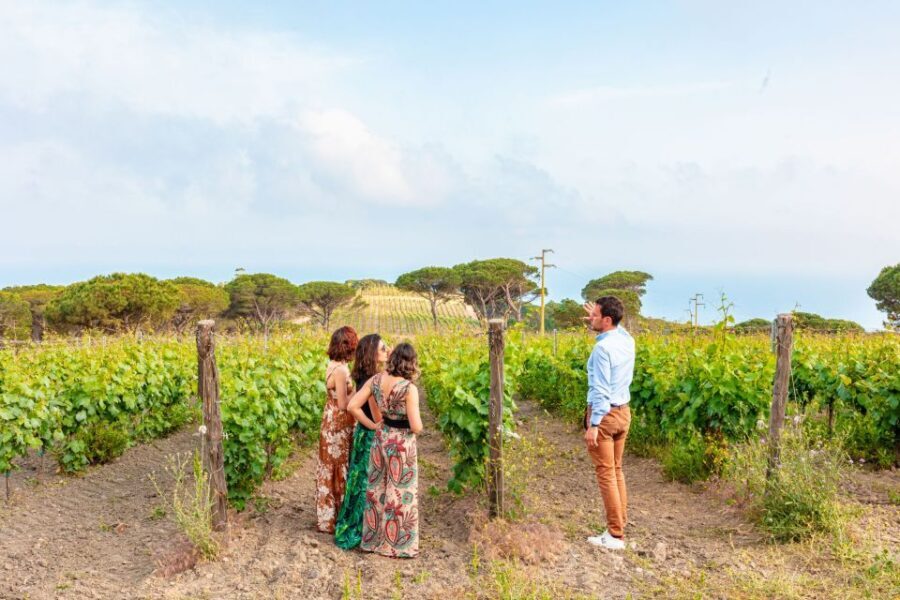 Tuscany: Ripalte Design Winery Wine and Cheese Tasting Tour - An In-Depth Look at the Ripalte Design Winery Tasting Tour