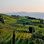Tuscany Wine Tour from Rome with Private Driver - Exploring the Itinerary: What to Expect