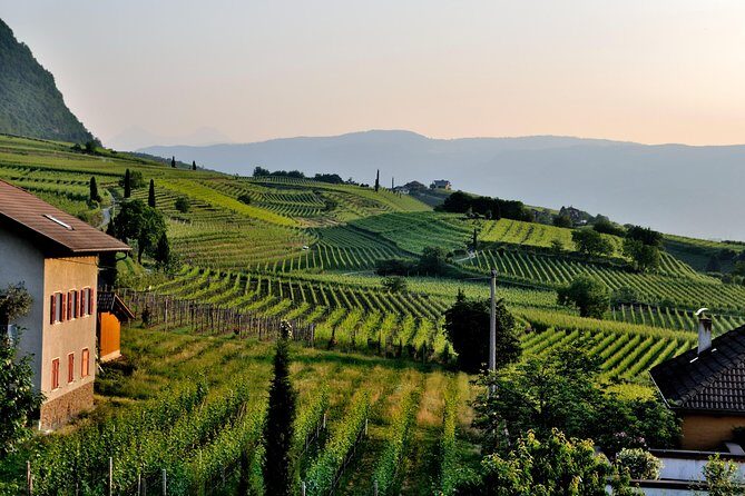 Tuscany Wine Tour from Rome with Private Driver - Exploring the Itinerary: What to Expect