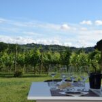 Tuscany Wine Tours in a family winery Podere Pellicciano - Who Should Consider This Tour?