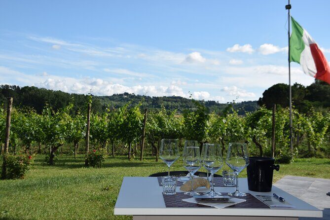 Tuscany Wine Tours in a family winery Podere Pellicciano - Who Should Consider This Tour?
