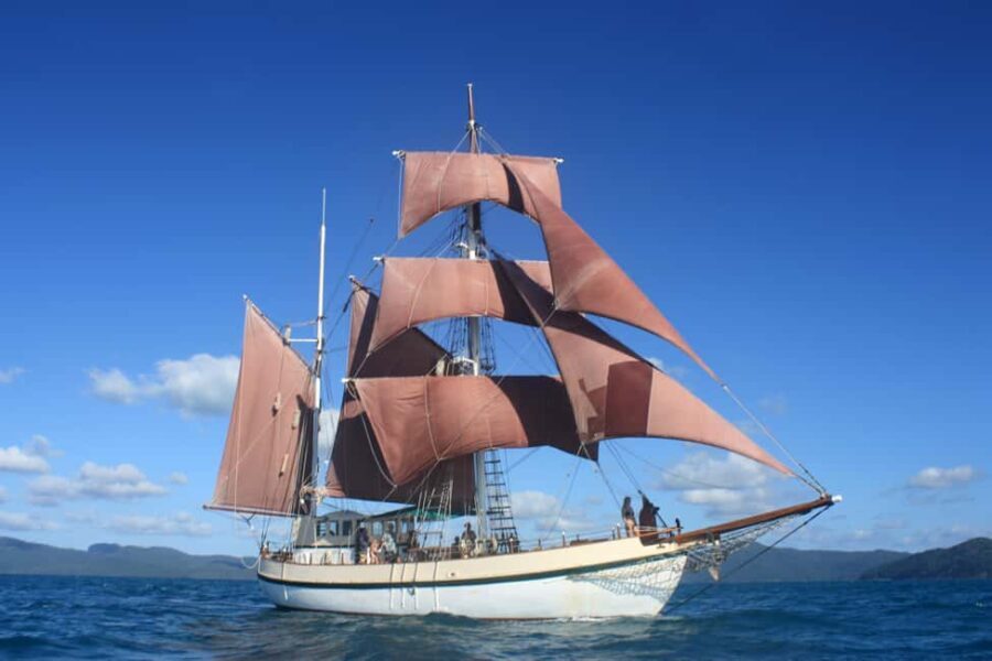 Twilight Dinner Cruise on Coral Trekker - Final Thoughts: Is It Worth It?