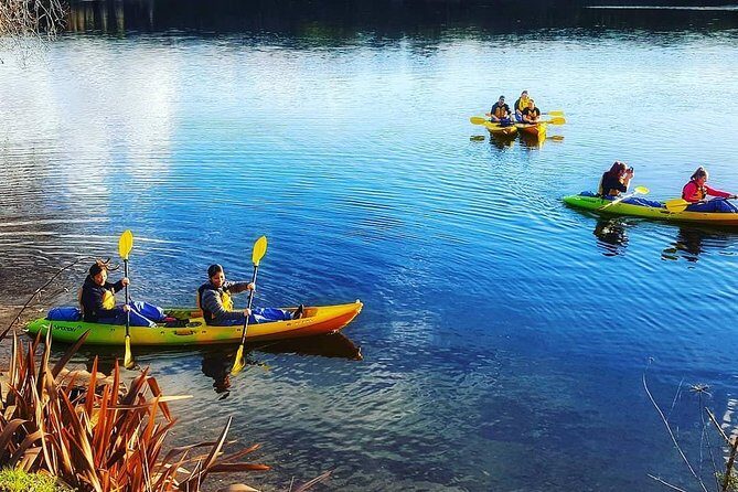 Twilight Glowworm Kayak Tour  Lake Karapiro - Who Should Consider This Tour?
