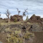 Twin Falls: Craters of the Moon Full-Day Tour with Lunch - Who is This Tour Best For?