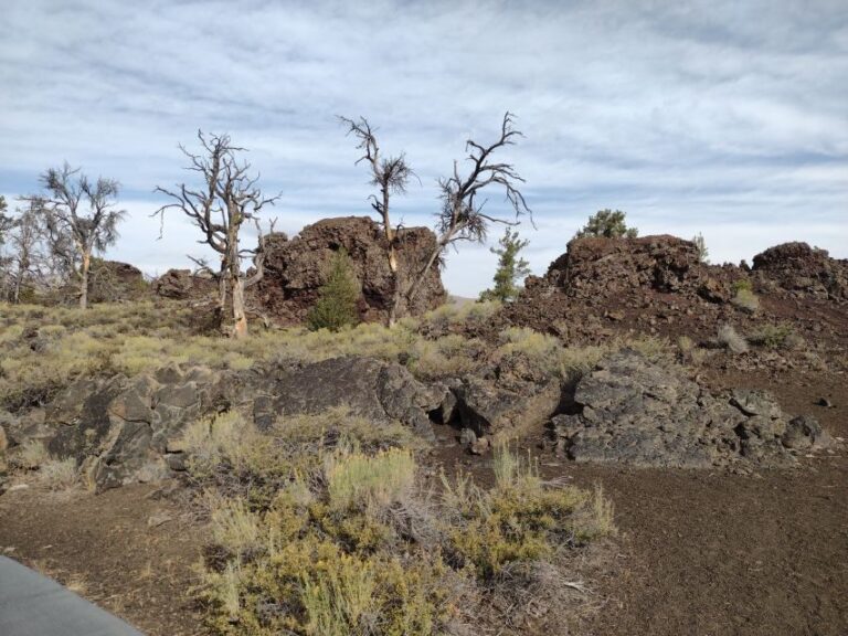 Twin Falls: Craters of the Moon Full-Day Tour with Lunch - Who is This Tour Best For?