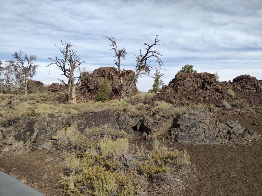 Twin Falls: Craters of the Moon Full-Day Tour with Lunch - Who is This Tour Best For?