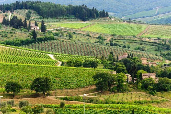 Two days of Tuscany discovering the Nobile, Brunello, Chianti area - Who Will Love This Tour?